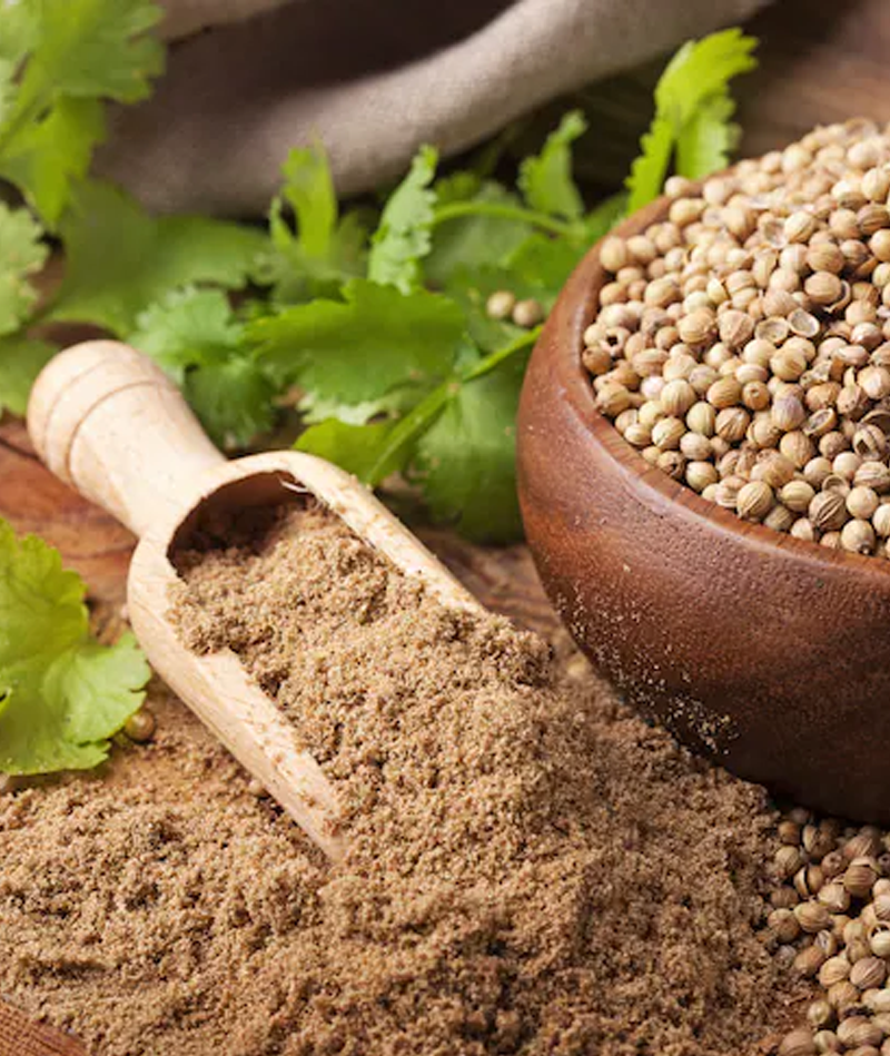 Coriander Powder Exporter